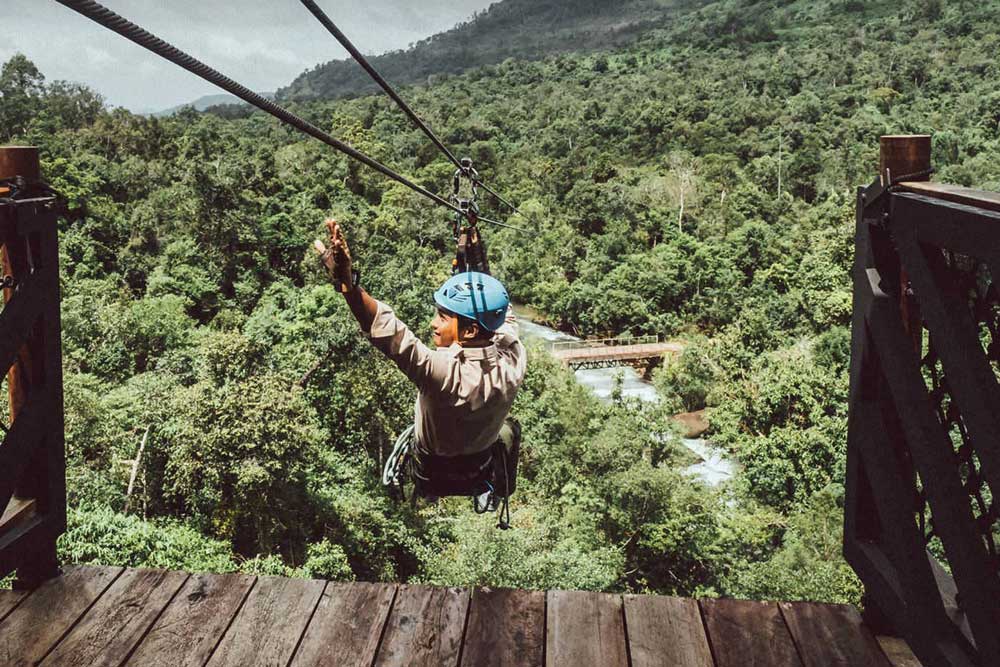 Zip Wire Image 2